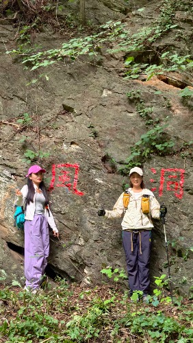 image_1781662529624.jpg